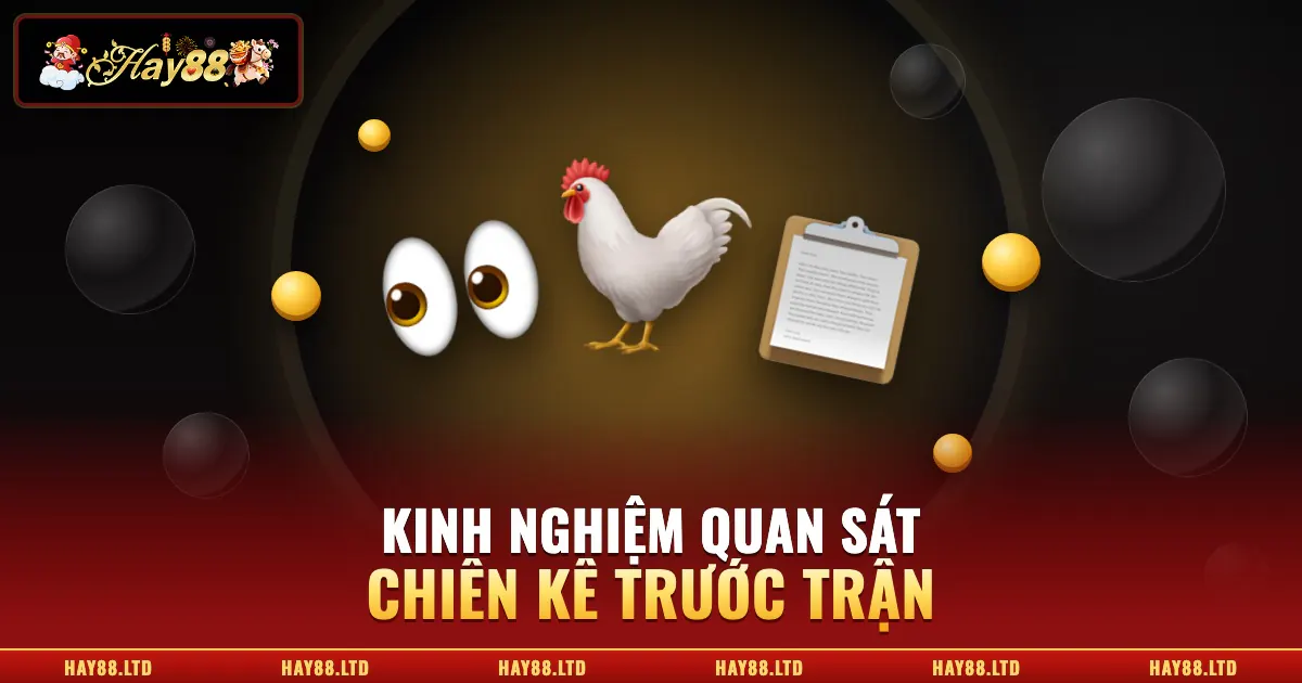 Kinh nghiệm quan sát chiến kê khi xem đá gà trực tiếp