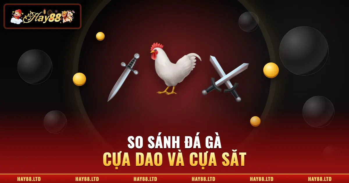 Đá Gà Cựa Dao Và Đá Gà Cựa Sắt – So Sánh Chi Tiết Cho Người Mới