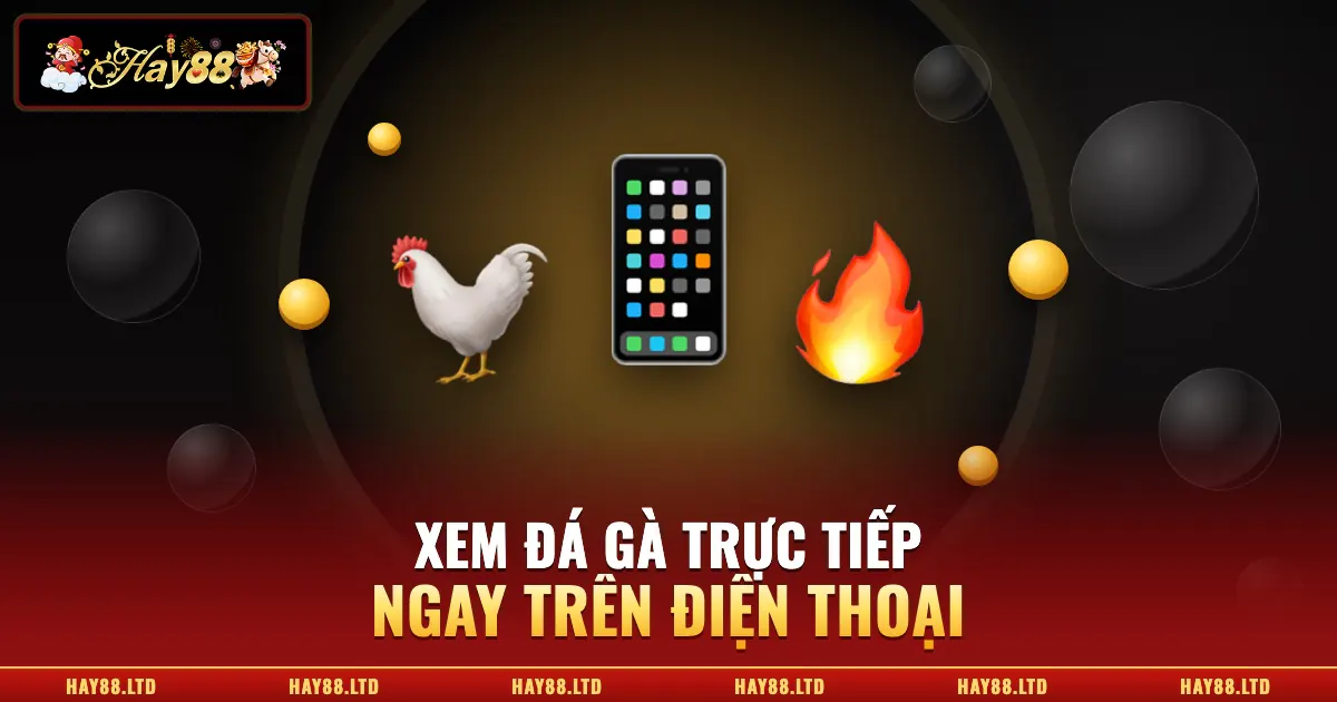 Xem đá gà trực tiếp và đặt cược trên điện thoại tại Hay88