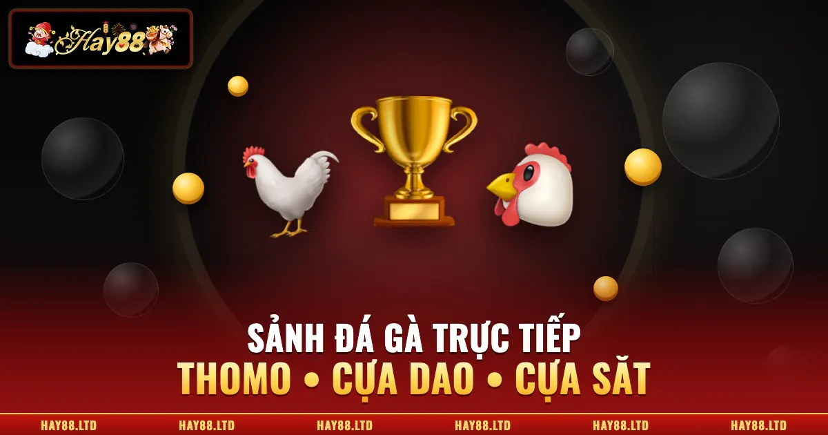 Giao diện sảnh đá gà trực tiếp tại Hay88
