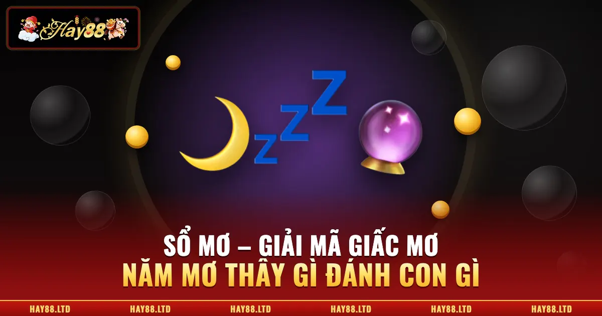 Nằm Mơ Thấy Gì Đánh Con Gì? Sổ Mơ Lô Đề Theo Dân Gian
