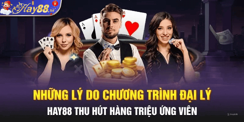 Những Lý Do Chương Trình Đại Lý HAY88 Hấp Dẫn Hàng Triệu Ứng Viên