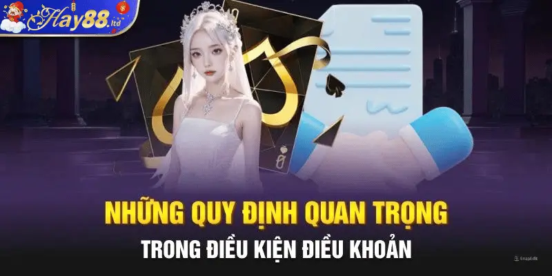 Những quy định quan trọng trong điều kiện điều khoản hay88