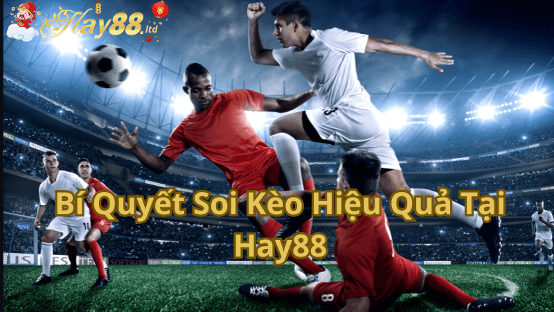 Bí Quyết Soi Kèo Nhà Cái Hiệu Quả Tại Hay88