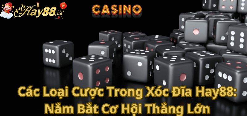 Các Loại Cược Trong Xóc Đĩa Hay88 Nắm Bắt Cơ Hội Thắng Lớn