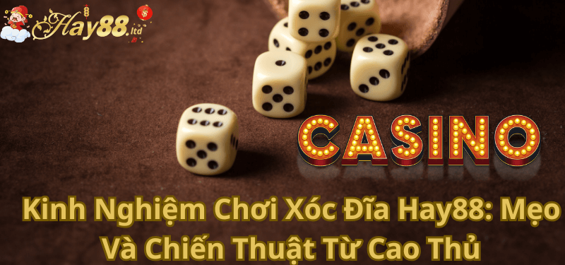 Kinh Nghiệm Chơi Xóc Đĩa Hay88 Mẹo Và Chiến Thuật Từ Cao Thủ