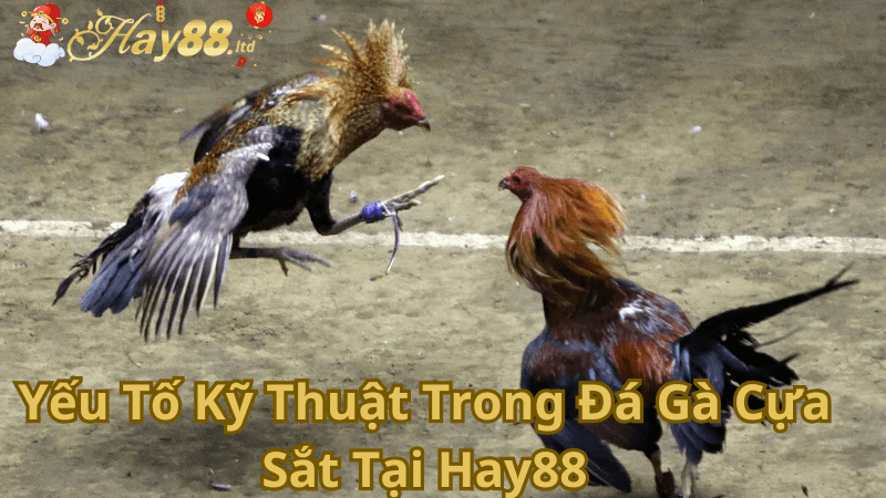 Yếu Tố Kỹ Thuật Trong Đá Gà Cựa Sắt Tại Hay88